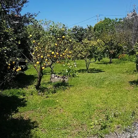 招待所 Casa Do Adro 维亚纳堡